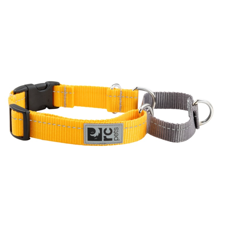 RC PETS Dog Primary Web Training Clip Collar, Marigold, L, 1/ 18-26