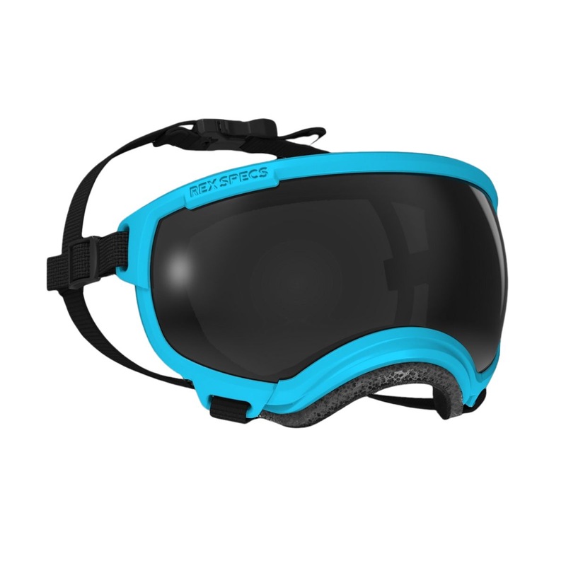 Rex Specs Goggles for Dogs – V2 Small Big Horn Blue