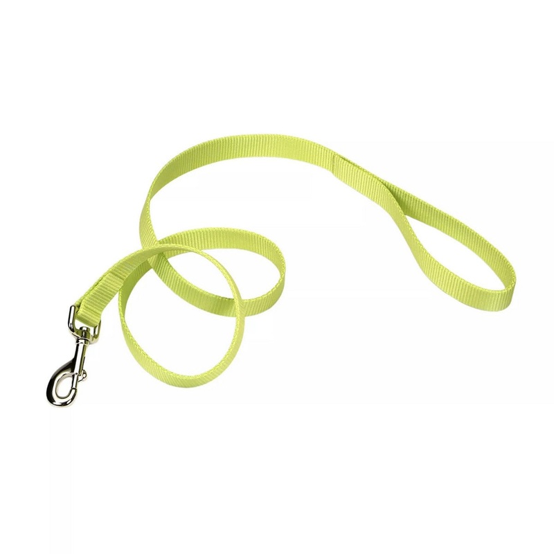 Coastal Single-Ply Dog Leash 1×6′ Lime
