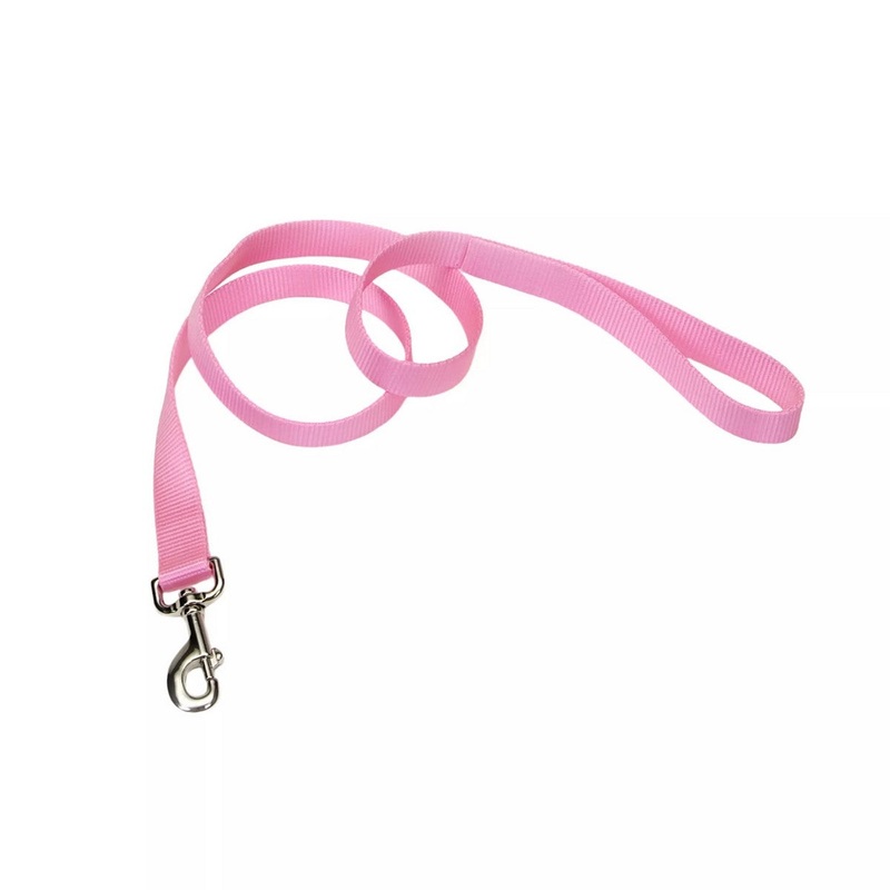 Coastal Single-Ply Dog Leash 1×6′ Pink Bright