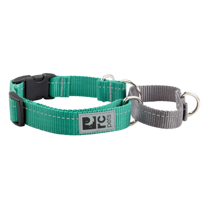 RC PETS Dog Primary Web Training Clip Collar, Parakeet, M, 1/ 14 – 19