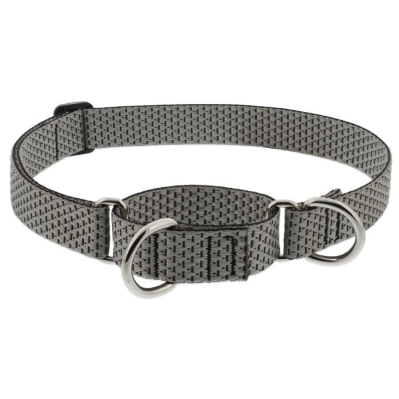 Lupine Eco Martingale Dog Collar for Training 1 x 15-22 Granite