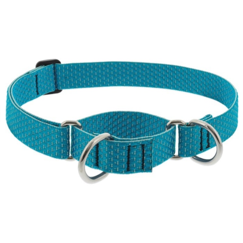 Lupine Eco Martingale Dog Collar for Training 1 x 15-22 Tropical Sea