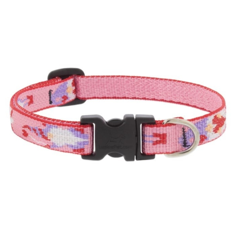 Lupine Holiday Designs Dog Collar 1 x 16-28 Lovable Gnomes