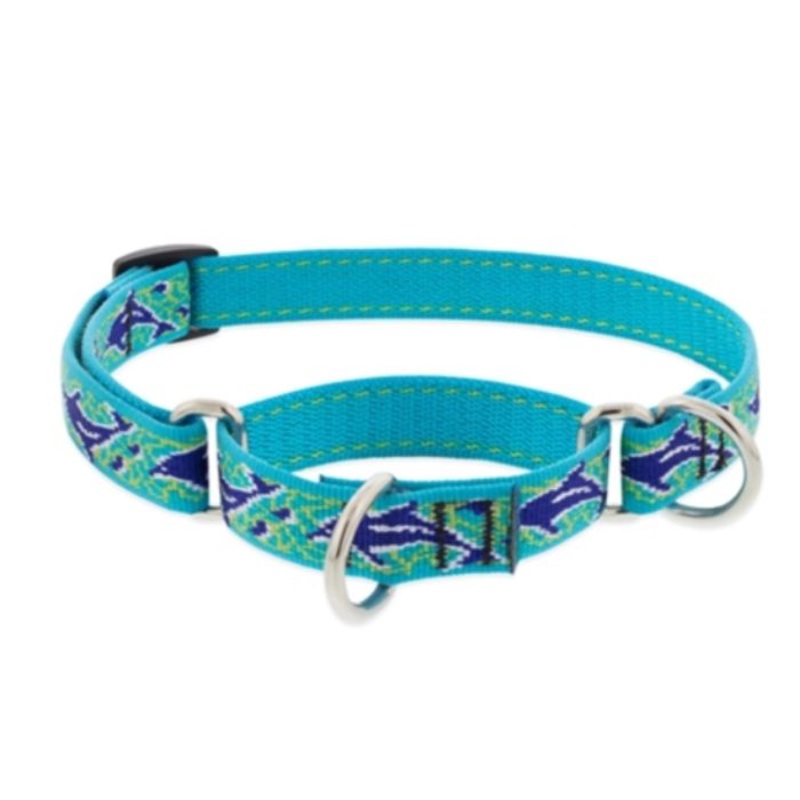 Lupine Martingale Dog Collar 3/4 x 10 -14 Dolphin Bay