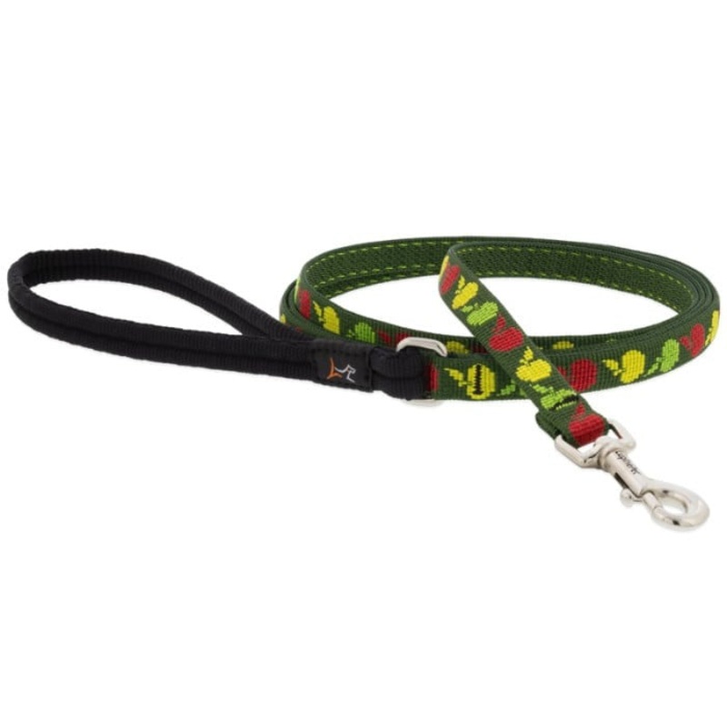 Lupine MicroBatch Limited Designs Dog Leash 1/2×8-12 Apple Season