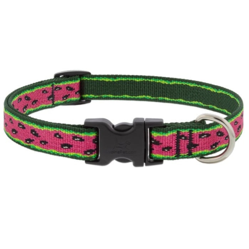 Lupine MicroBatch Safety Adjustable Dog Collar 3/4 X 15-25 Watermelon