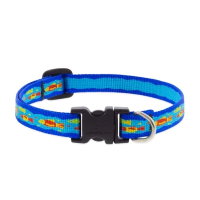 Lupine Pet Dog Collar 1/2 x 10-16 Wee Fishies