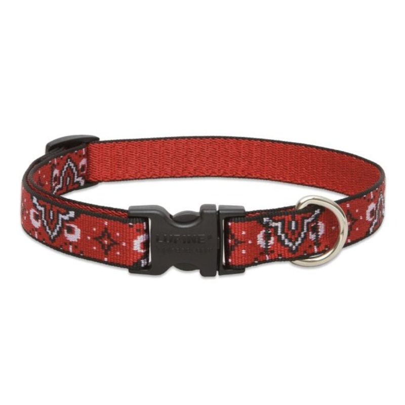 Lupine Pet Dog Collar 3/4 x 9-14 Wild West
