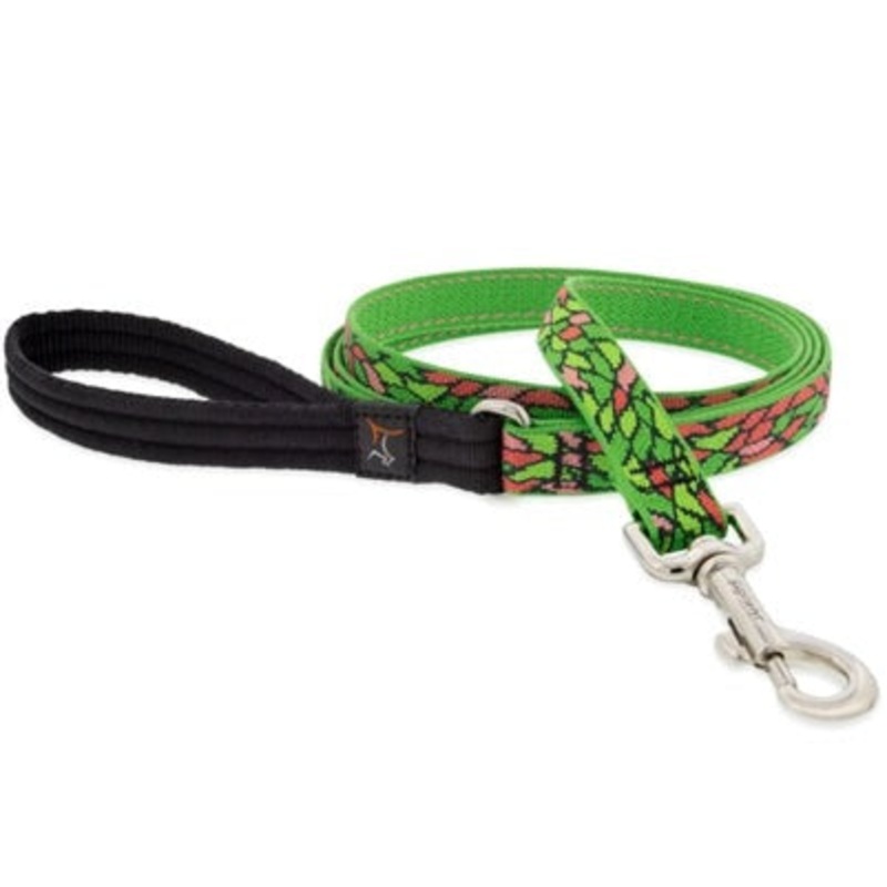 Lupine Pet Dog Leash 3/4 x 6′ Tiffany