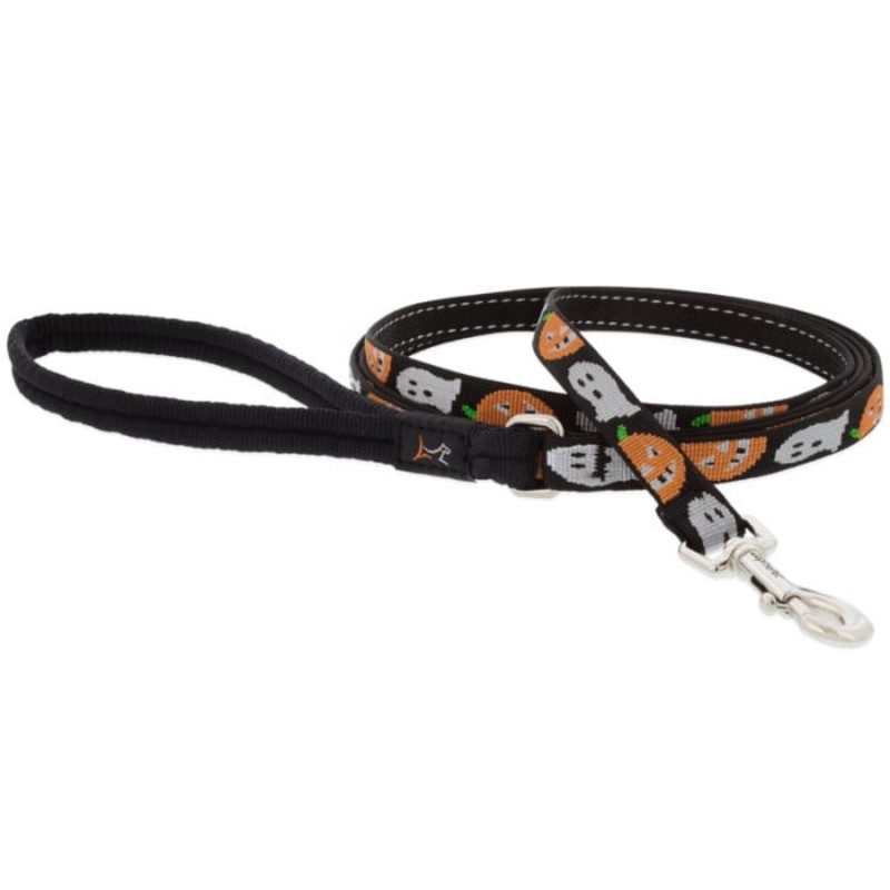 Lupine MicroBatch Limited Designs Dog Leash 1/2 x 6′ Ghost