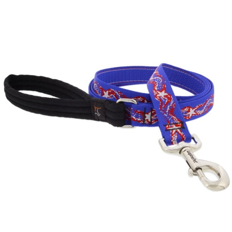 Lupine MicroBatch Limited Designs Dog Leash 1 x 6′ Super Star