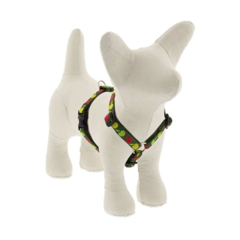 Lupine MicroBatch Roman Dog Harness 1/2 x 9-14 Apple Season