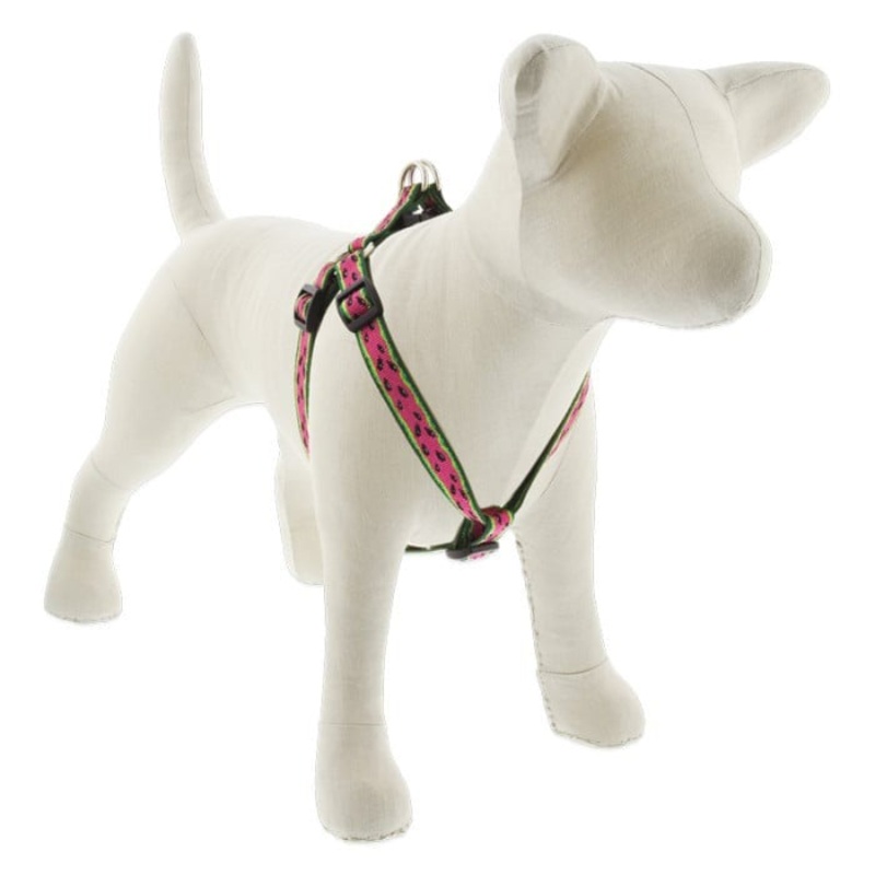Lupine MicroBatch Step In Dog Harness 3/4 x 15-21 Watermelon