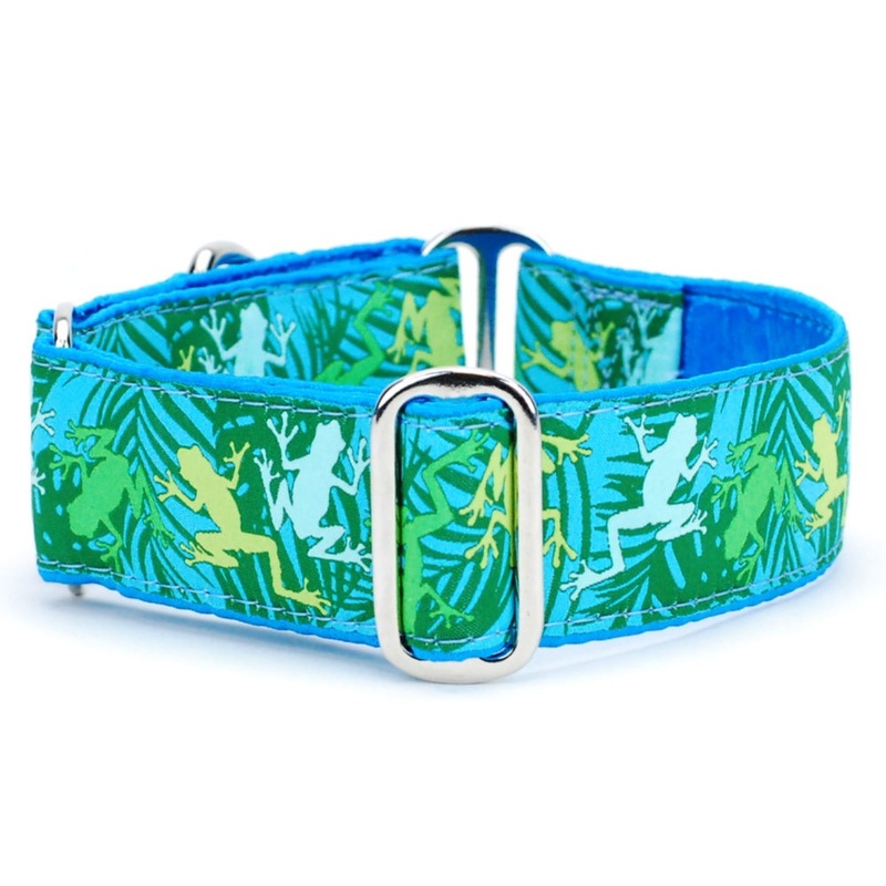 2 Hounds Design Coqui Surf Exclusive Dog Collar Medium