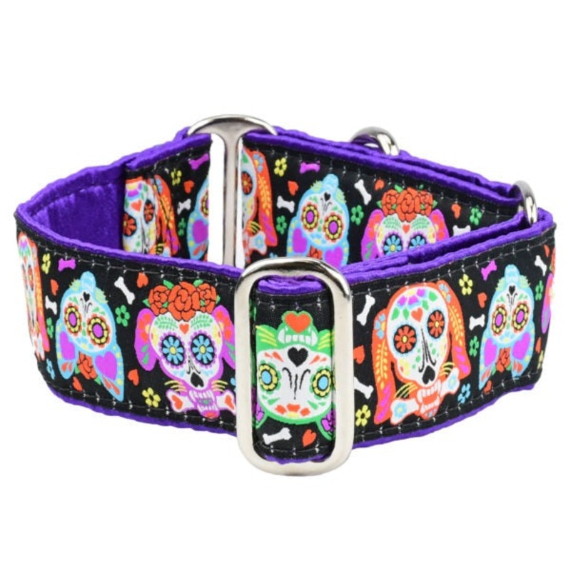 2 Hounds Design XOLO  Sugar Skull Dog Collar Large
