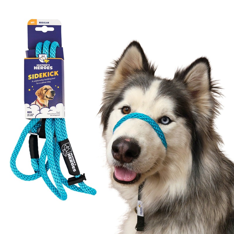 Heather’s Heroes Sidekick Regular 3/8 x 6′ Turquoise Dog Leash