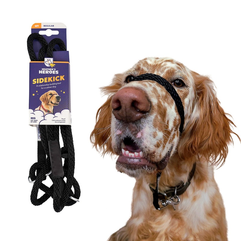 Heather’s Heroes Sidekick Regular Black Dog Leash 3/8 x 6′