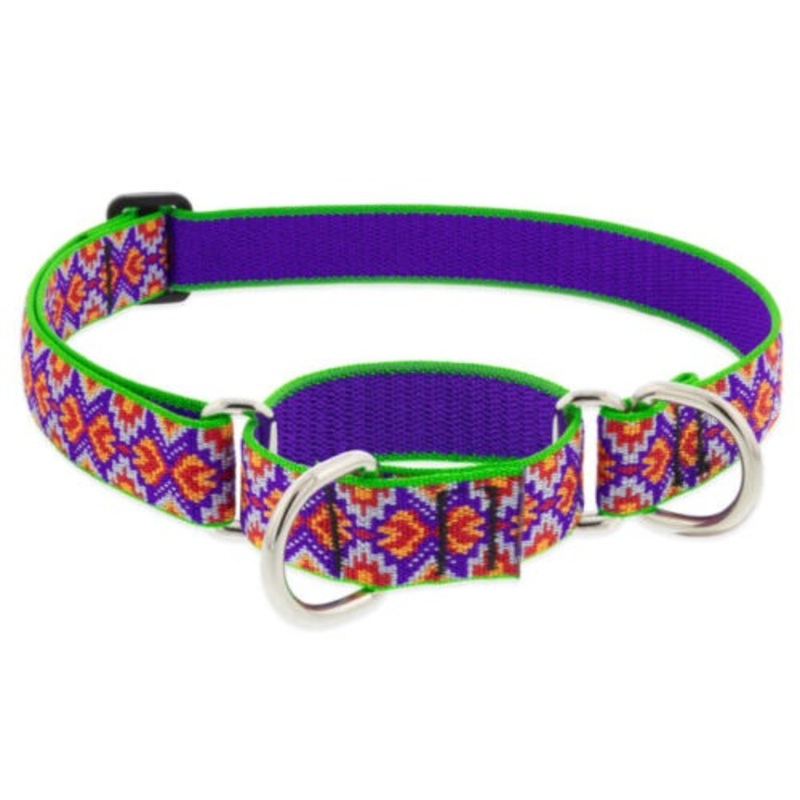 Lupine Collar Adjustable 1 x 16-28 Azteca