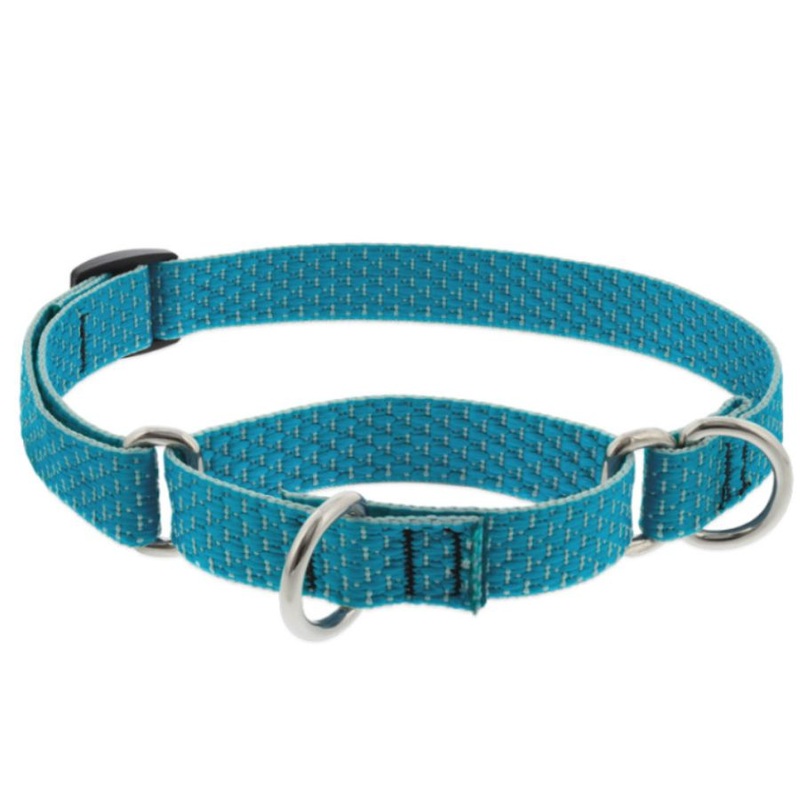 Lupine Eco Martingale Collar for Training 3/4 x 14-20 Tropical Sea
