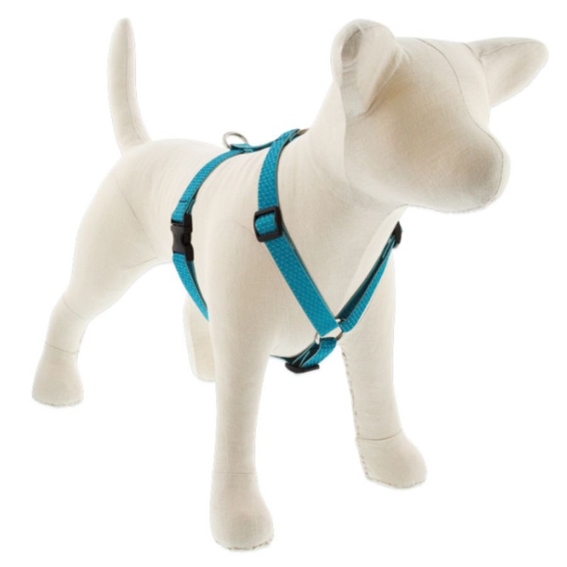 Lupine Eco Roman Dog Harness 1 x 20-32 Tropical Sea