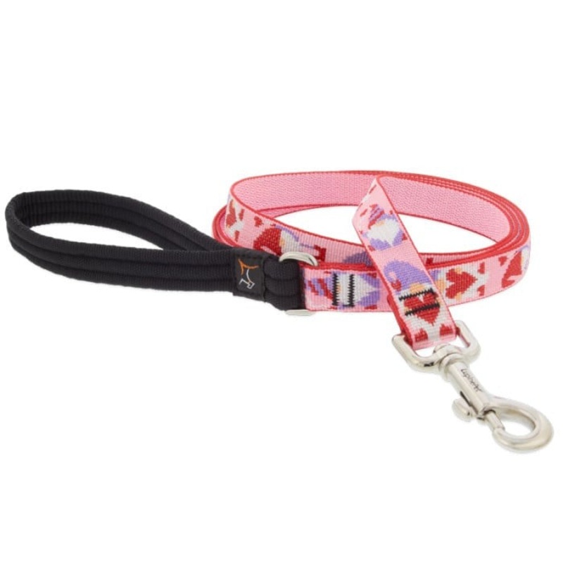 Lupine MicroBatch Limited Designs Dog Leash 3/4 x 6′ Lovable Gnomes