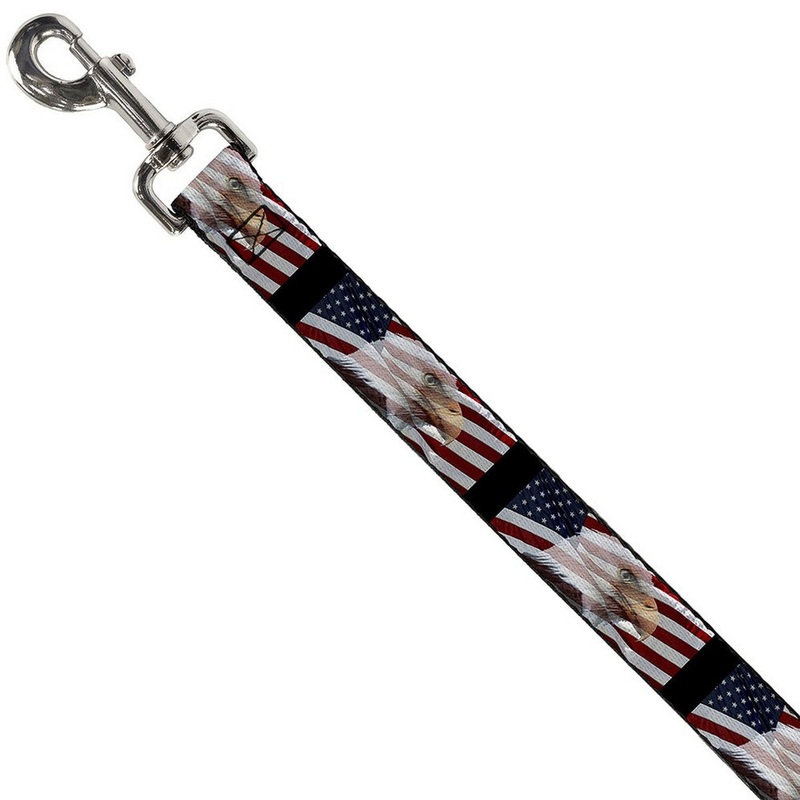 Buckle-Down Pet American Eagle Flags Dog Leash 6′