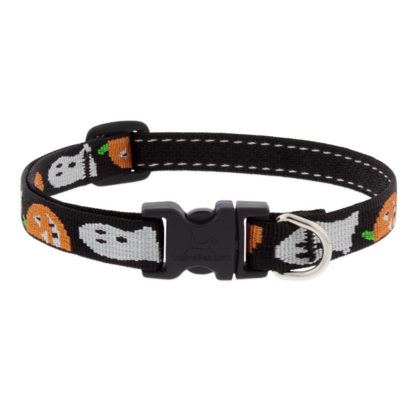 Lupine Adjustable Collar, Ghost, 1/2×6-9