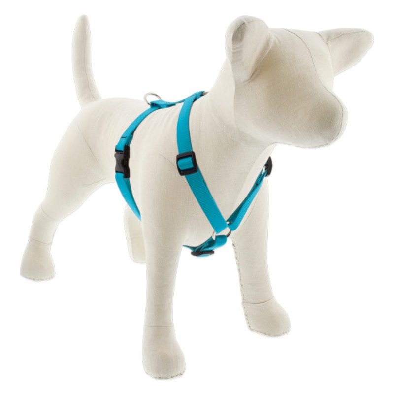 Lupine Basic Solids Roman Dog Harness 3/4 x 14-24 Aqua