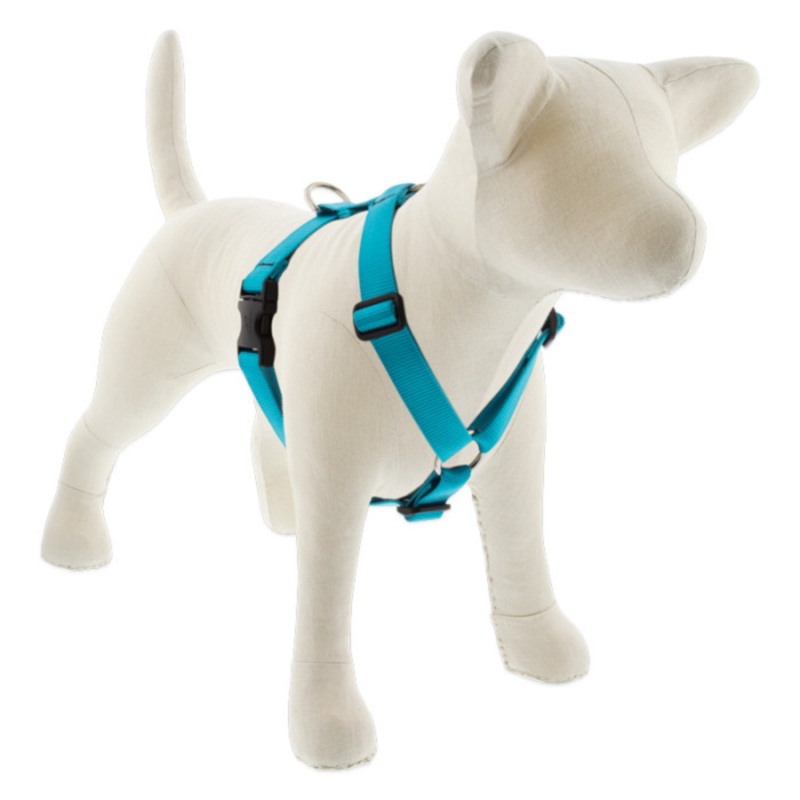 LUPINE Basic Solids Roman Dog Harness, Aqua, 1×20-32