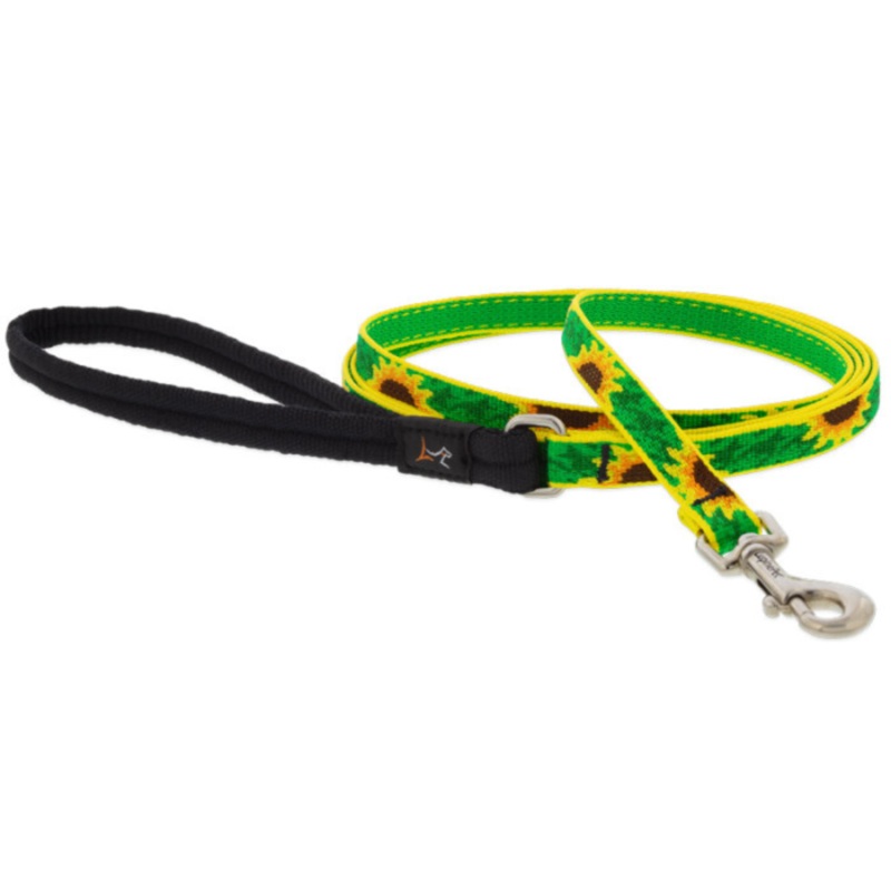 LUPINE Dog Leash, Sunflowers, 3/4×6