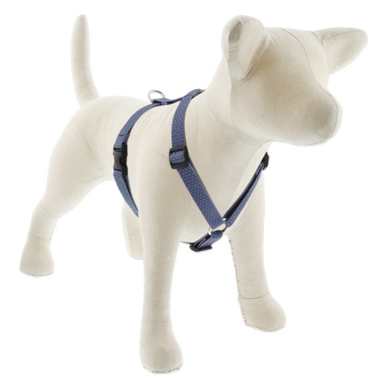 Lupine Eco Roman Dog Harness 3/4 x 12-20 Mountain Lake
