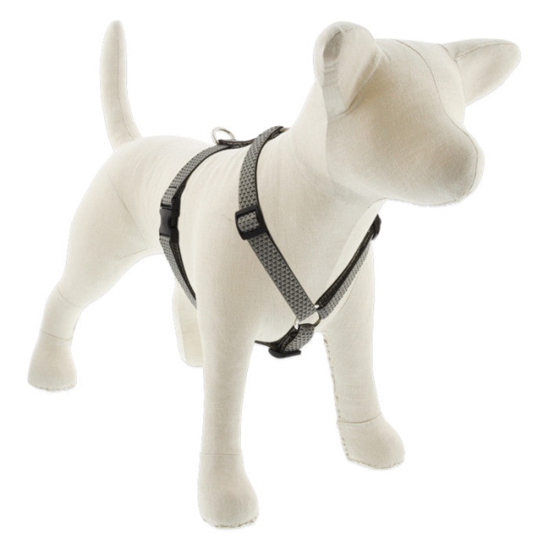 Lupine Eco Roman Dog Harness 3/4 x 14-24 Granite