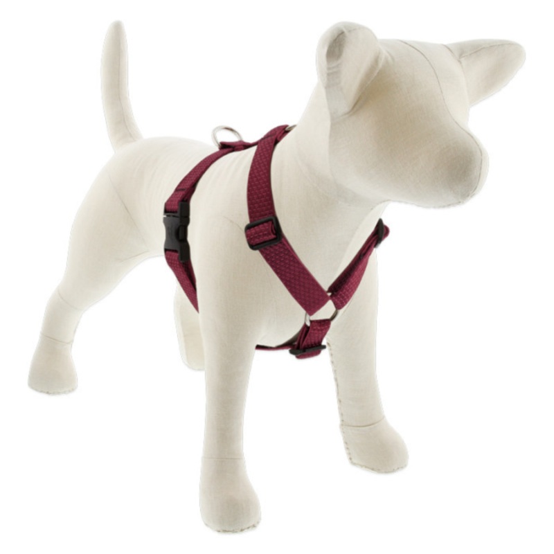 LUPINE Eco Roman Dog Harness, Berry, 1×24-38