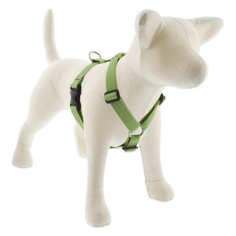 LUPINE Eco Roman Dog Harness, Moss, 1×24-38