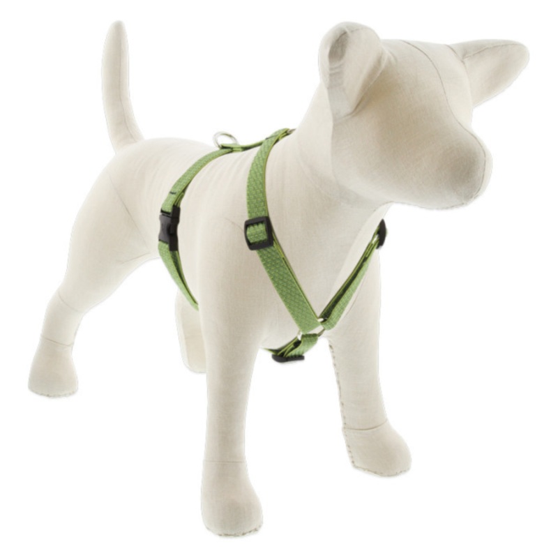 LUPINE Eco Roman Dog Harness, Moss, 3/4×20-32
