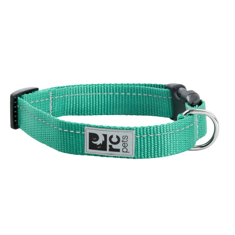 RC PETS Primary Clip Dog Collar M 1 Parakeet