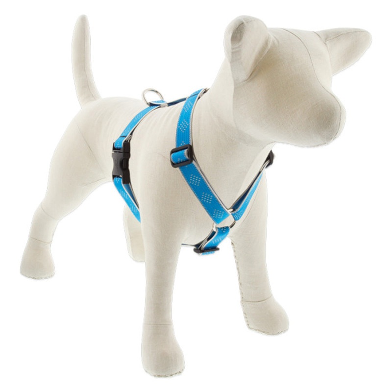 Lupine Reflective Roman Dog Harness 1 Wide 24-38 Girth Blue Diamond