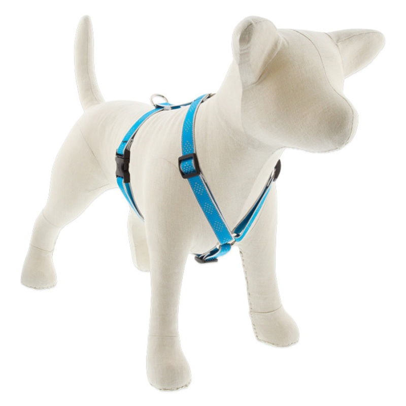 Lupine Reflective Roman Dog Harness 3/4 Wide 12-20 Girth Blue Diamond