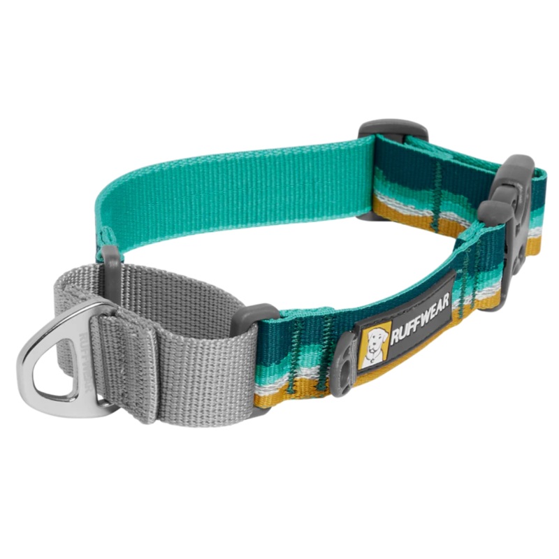 RUFFWEAR Web Reaction Martingale Dog Collar, Seafoam, 23-26