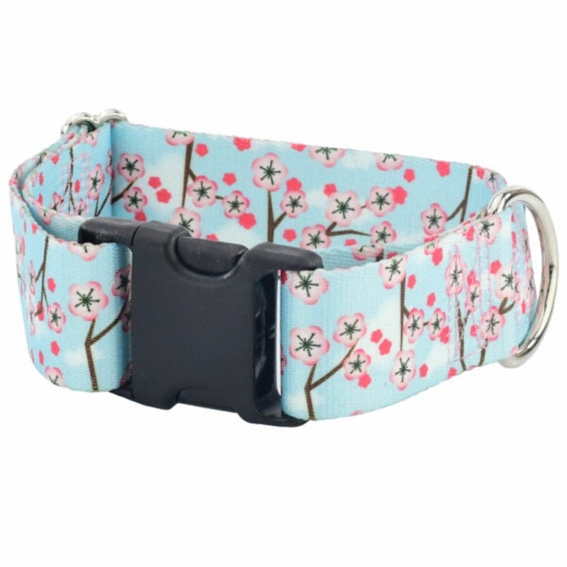 2 Hounds Design Cherry Blossoms Dog Collar Large 1.5