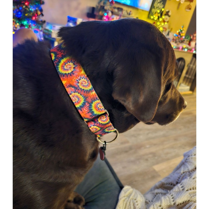 2 Hounds Design Classic Tie-Dye Dog Collar Medium
