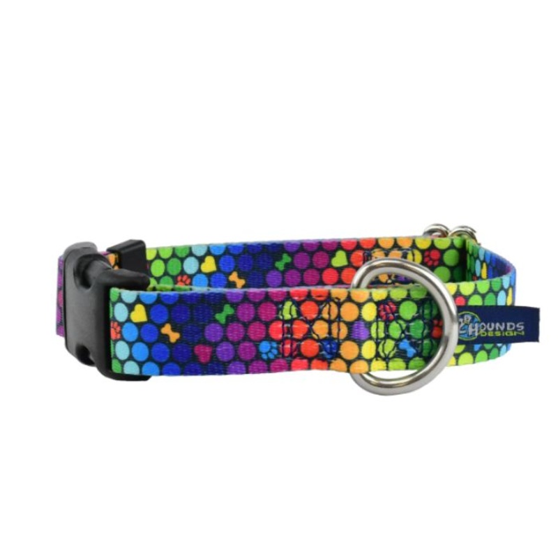 2 Hounds Design ROY G BIV Dog Collar Small