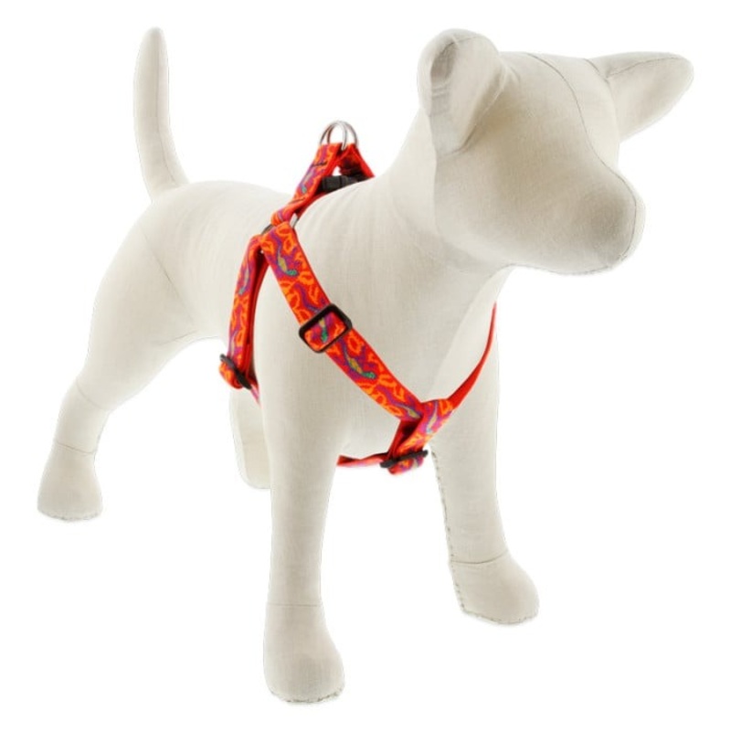 Lupine Original Designs Step In Dog Harness 1×19-28 Go Go Gecko
