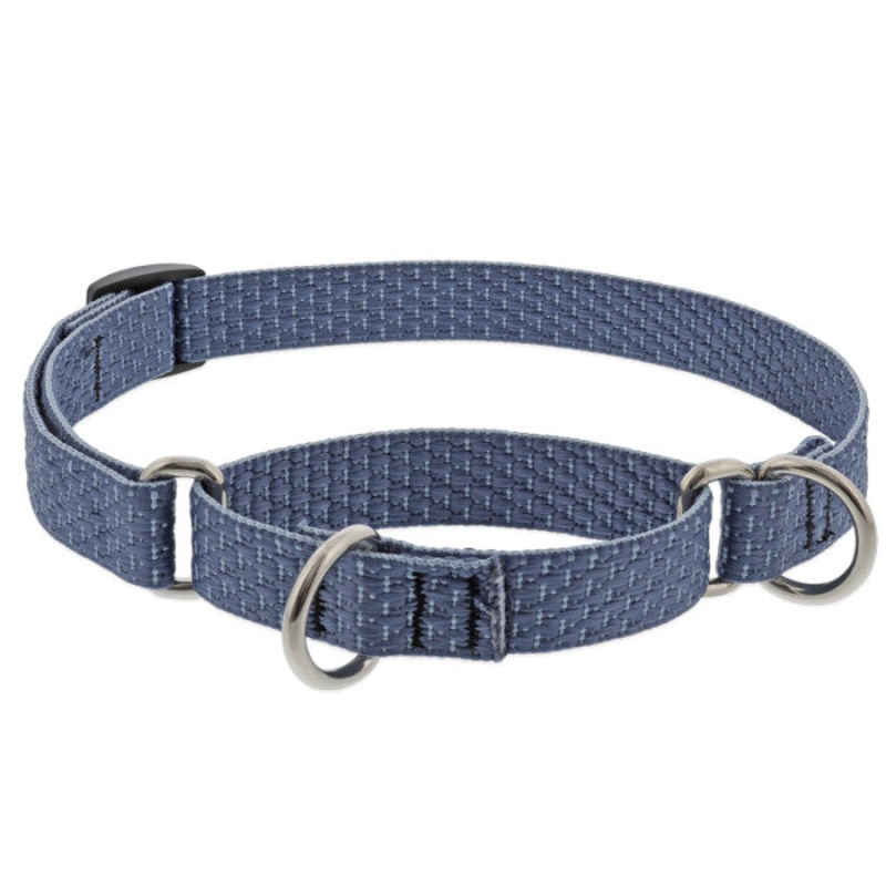Lupine Eco Martingale Dog Collar 3/4×14-20 Mountain Lake