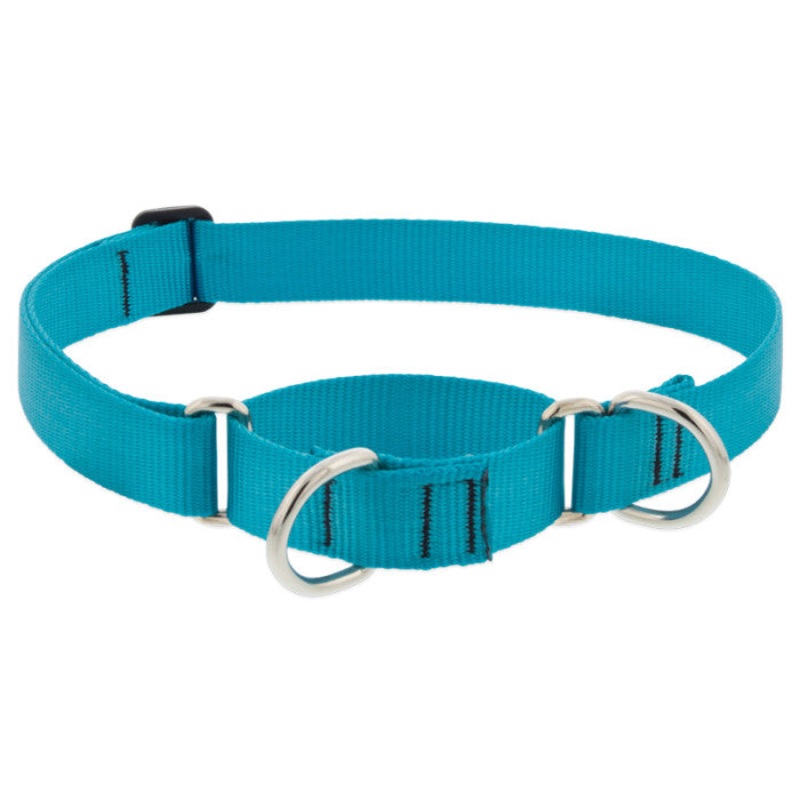Lupine Martingale Collar for Training 1×19-27 Aqua