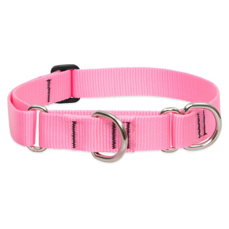 Lupine Martingale Collar for Training 1×19-27 Pink