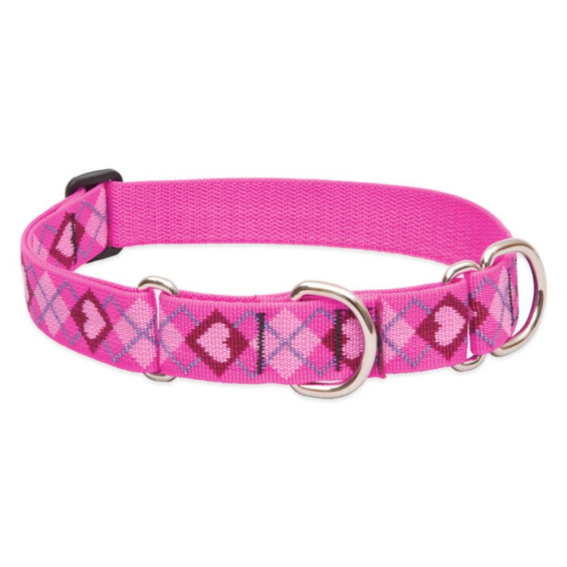 Lupine Martingale Collar for Training 1×19-27 Puppy Love