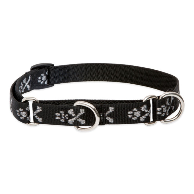 Lupine Martingale Collar for Training 3/4×10-14 Bling Bonz