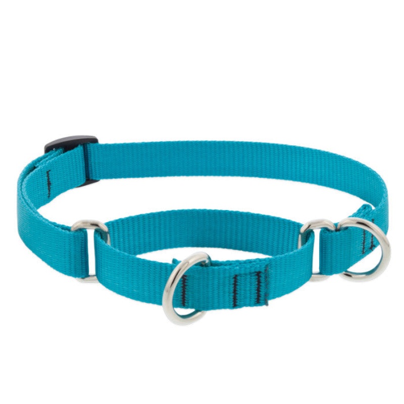 Lupine Martingale Collar for Training 3/4×14-20 Aqua